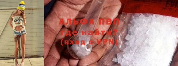 прущие грибы Абдулино