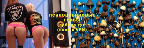 2c-b Алзамай