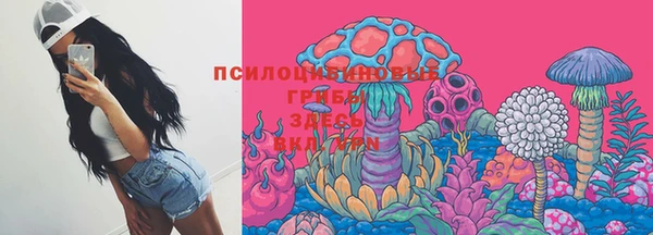 прущие грибы Абдулино