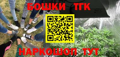 прущие грибы Пенза