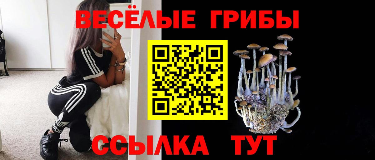 Псилоцибиновые грибы Psilocybe  Вход с VPN  Сыктывкар 